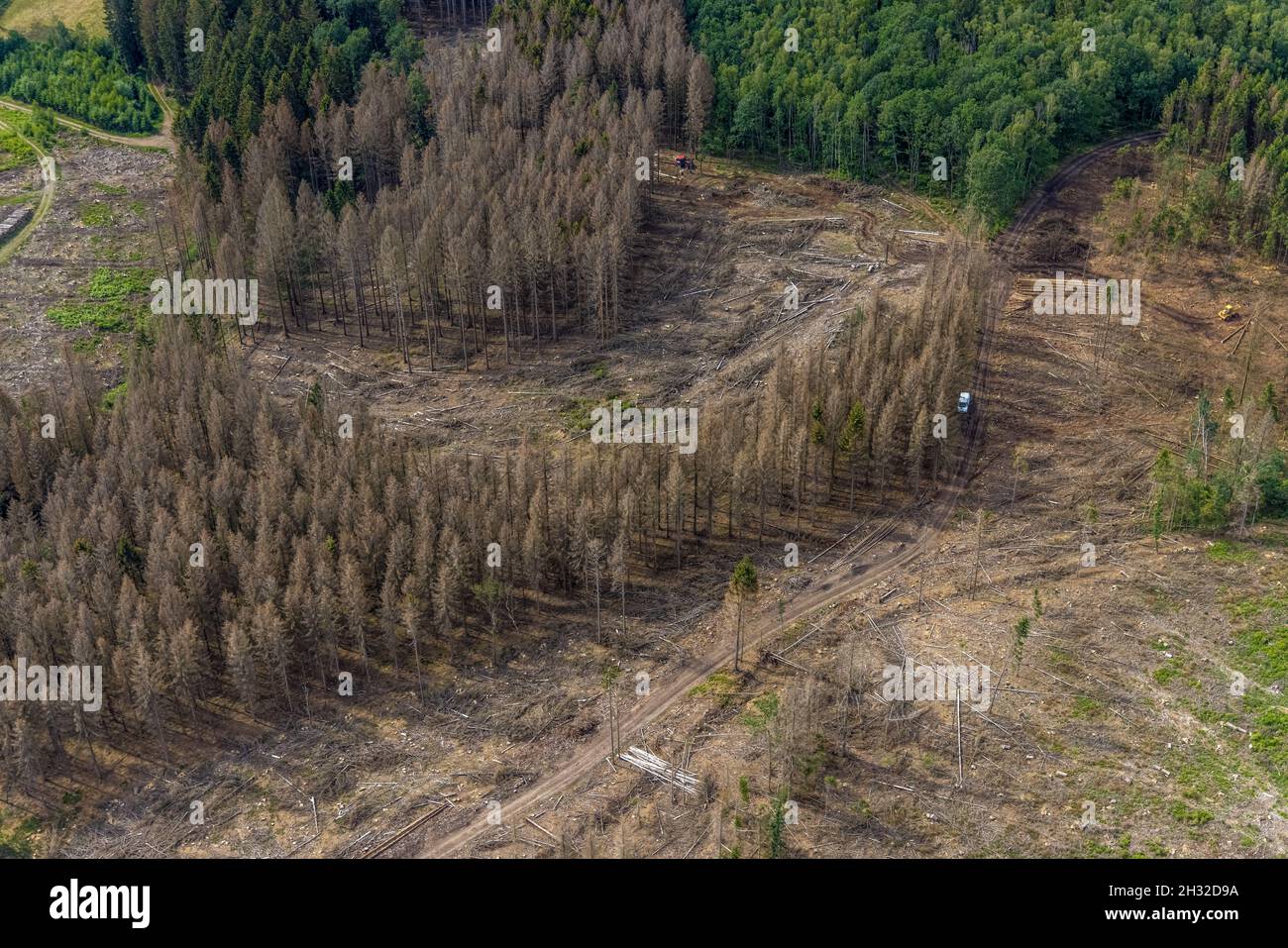 Luftaufnahme, Waldgebiet mit Waldschäden bei Iseringhausen und Brachtpe, Drolshagen, Sauerland, Nordrhein-Westfalen, Deutschland, Baumtod, Stockfoto