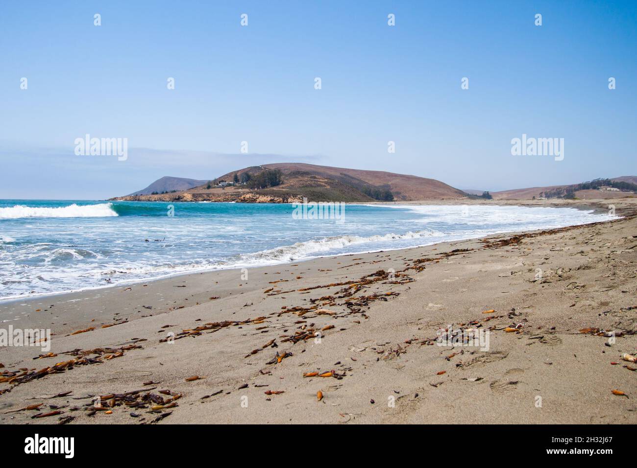 Strand mit orangefarbenem Seegras, das von Wellen gewaschen wurde wunderschönes blaues Meer | wunderschöne malerische Aussichten entlang des Pacific Coast Highway (Route 1, Kalifornien) Stockfoto