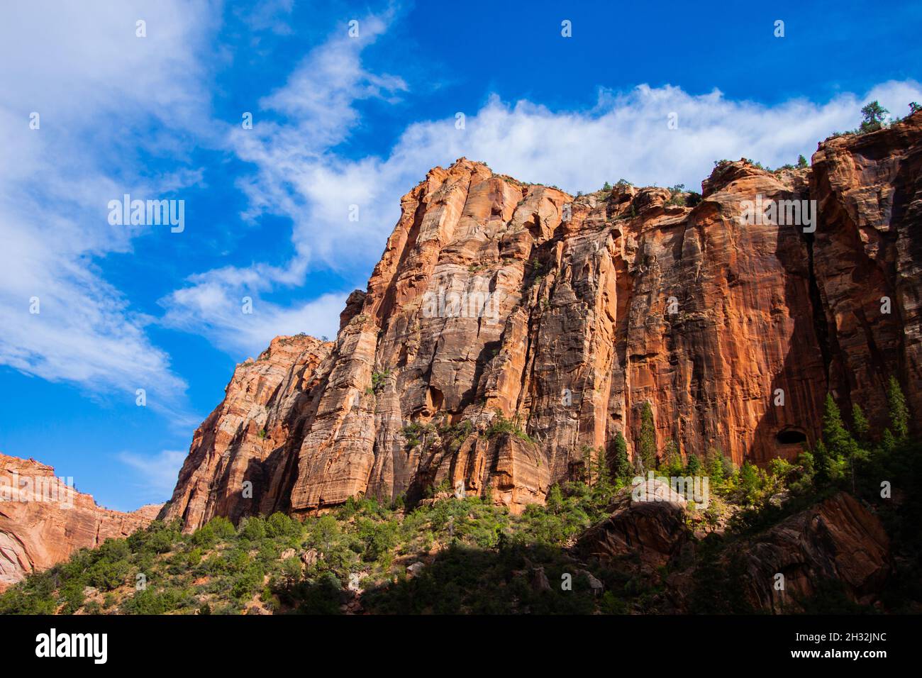 Zion National Park Wild Cliff Wall | Landschaft des Zion National Park, Utah, USA | wunderschönes Panorama von Sandsteinformationen, felsigen Klippen, Hängen Stockfoto