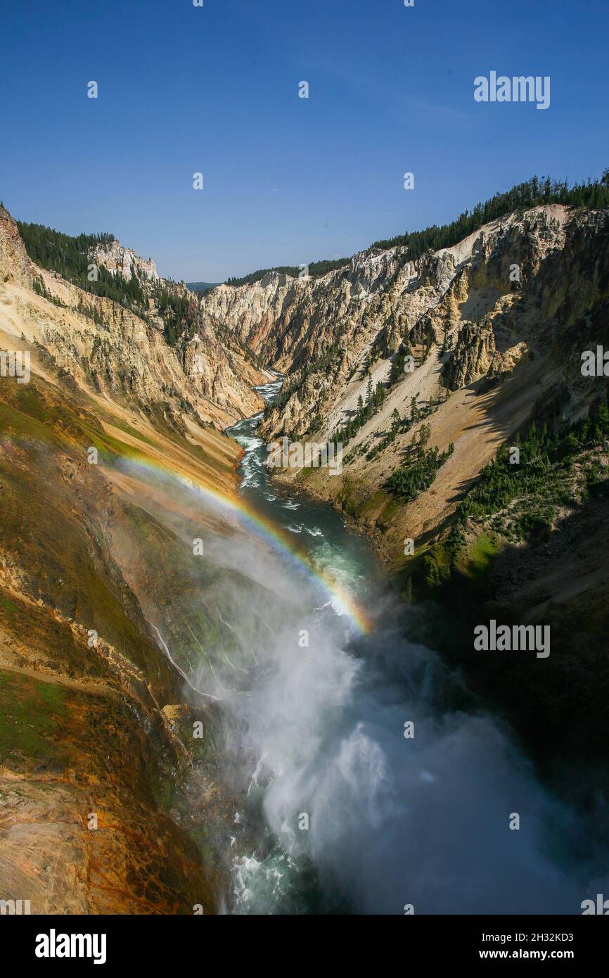 Yellowstone Grand Canyon mit Regenbogen an sonnigen Tagen atemberaubende Landschaft | Panoramaaussicht, wundervolle Landschaften im Yellowstone National Park Stockfoto