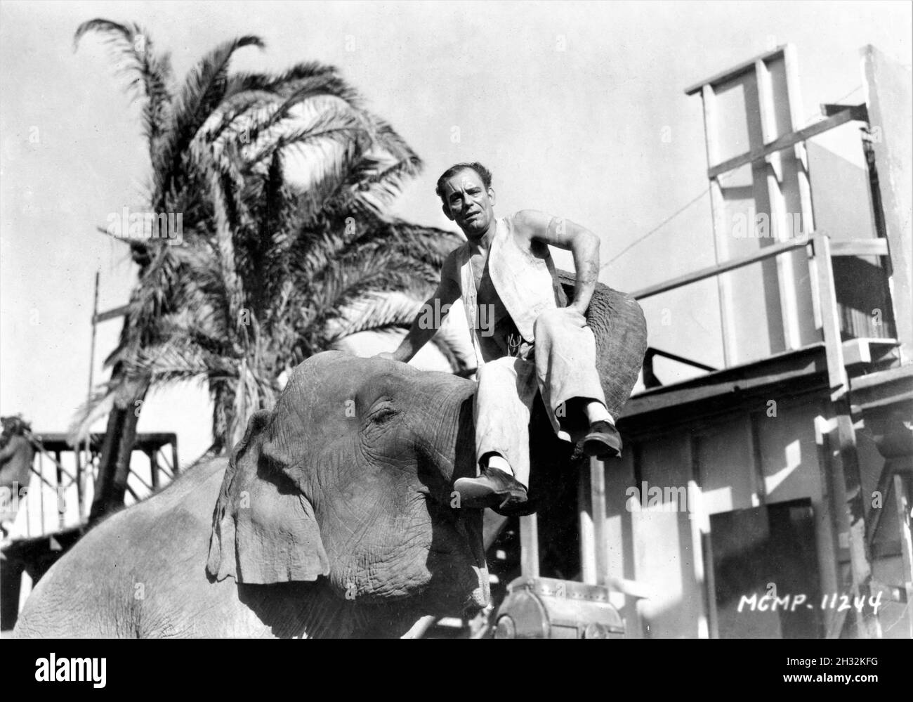LON CHANEY am Set Candid mit Elephant auf MGM Studio Lot während der Dreharbeiten zu WHERE EAST IS EAST 1929 Regisseur Tod BROWNING Story Tod Browning und Harry Sinclair Drago Adaption Waldemar Young Garderobe David Cox Stummfilm mit Musical Score und Sound Effects Metro Goldwyn Mayer Stockfoto