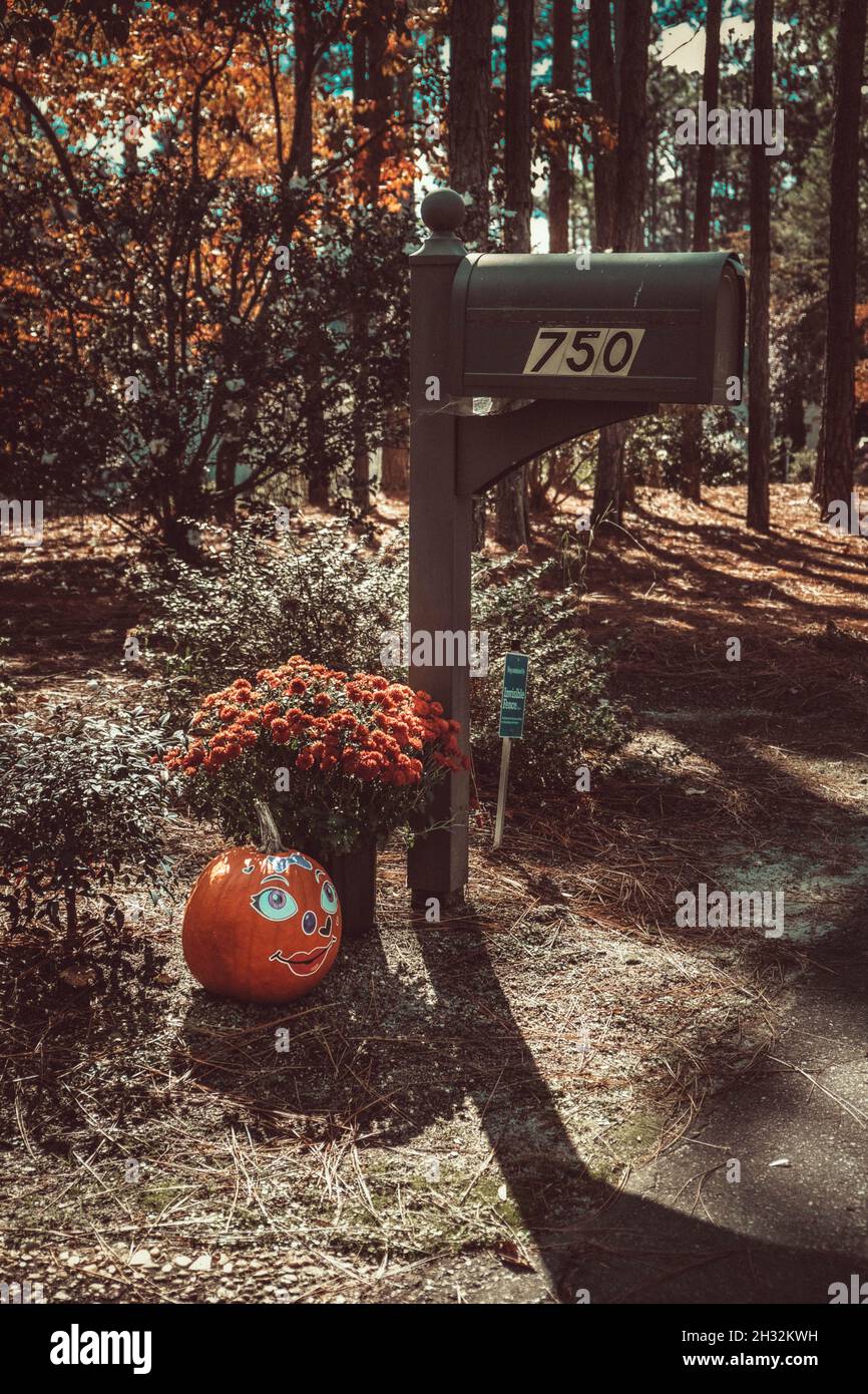 Ein amerikanischer Briefkasten mit Halloween-Dekorationen Stockfoto