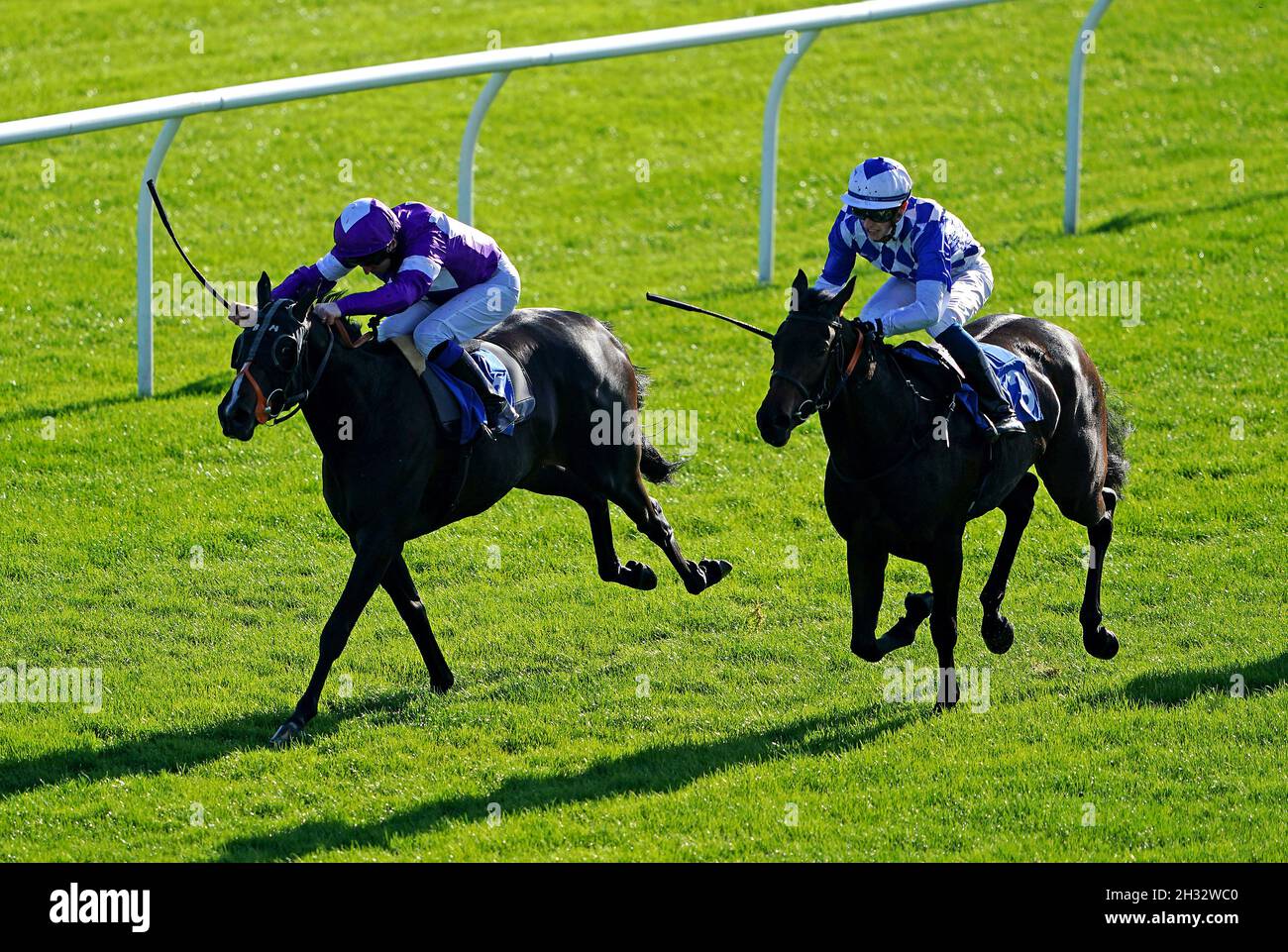 Bella Caelia unter Jockey Martin Dwyer (links) gewinnt den LeicesterRaces Ideal Self-Hire Wedding Venue Nursery mit Albus Anne unter Jockey Luke Catton Zweiter auf der Rennbahn in Leicester. Bilddatum: Montag, 25. Oktober 2021. Stockfoto