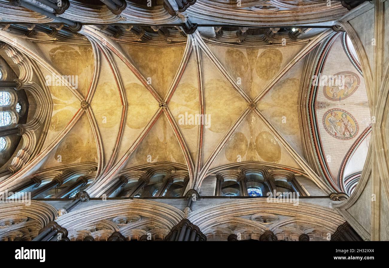 Decke der Salisbury Cathedral; im Inneren der Salisbury Cathedral, einer mittelalterlichen Kathedrale aus dem 13th. Jahrhundert, Salisbury Wiltshire UK Stockfoto