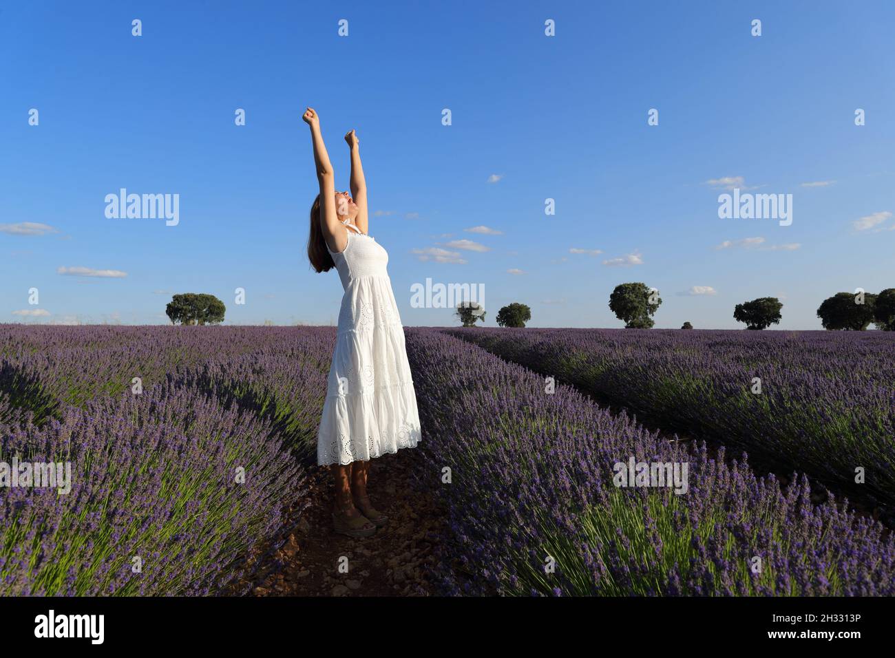 Aufgeregt Frau in weißem Kleid feiert Urlaub heben die Arme in einem Lavendelfeld Stockfoto