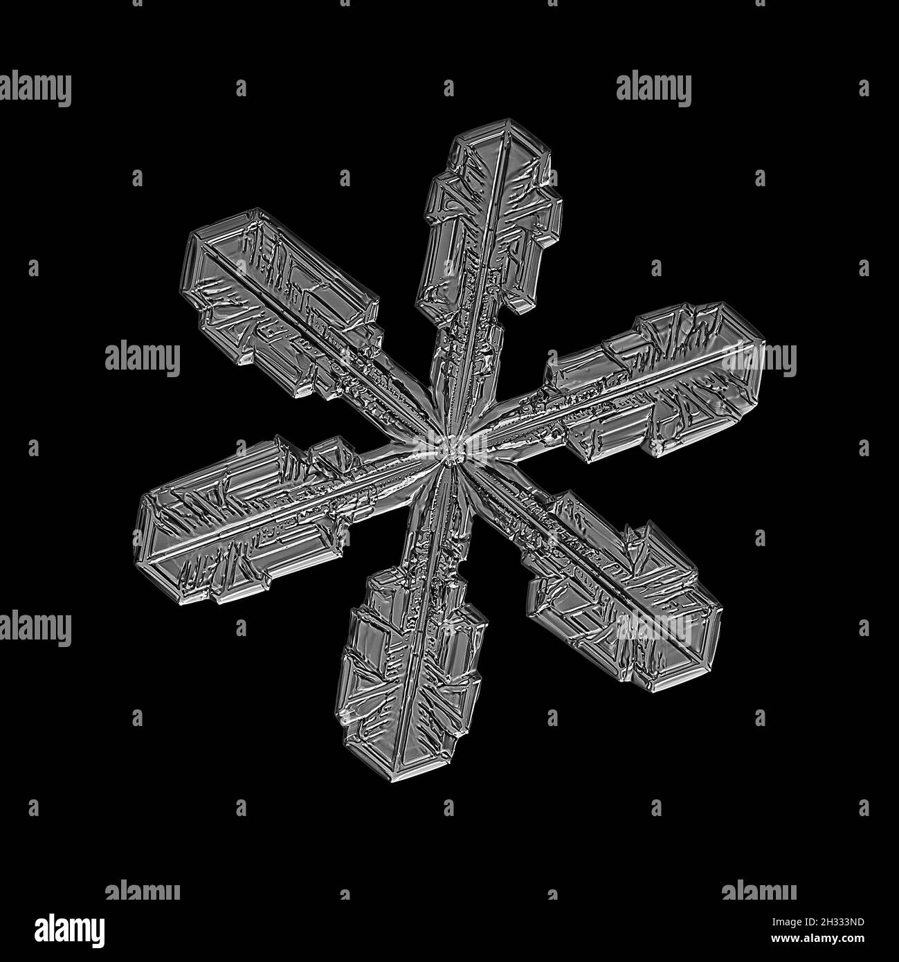 Weiße Schneeflocke isoliert auf schwarzem Hintergrund. Illustration basierend auf Makrofoto von echtem Schneekristall: Elegante Sternplatte mit kurzen, breiten Armen Stockfoto