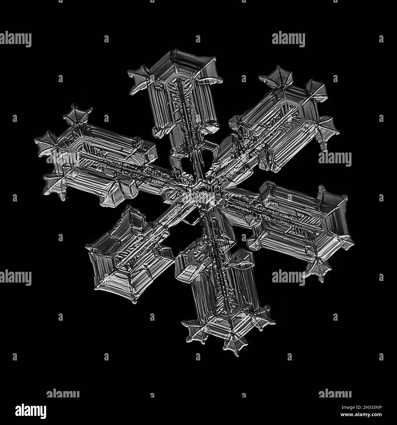 Weiße Schneeflocke isoliert auf schwarzem Hintergrund. Illustration basierend auf Makrofoto von echtem Schneekristall: Elegante Sternplatte mit kurzen, breiten Armen Stockfoto