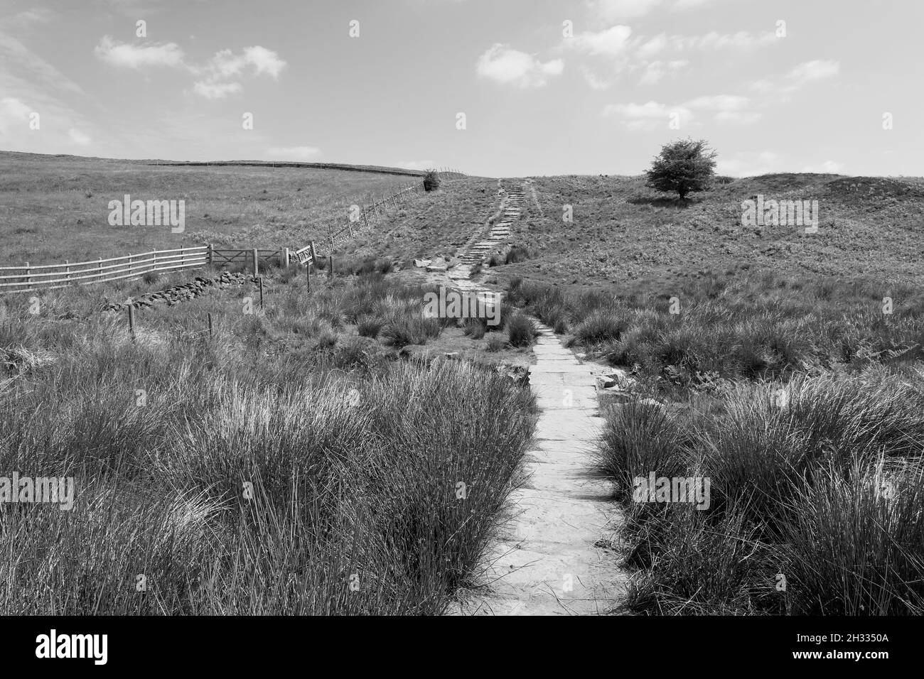 In der Nähe von Curbar Edge wird ein kleines Gebiet des Sumpfes von Steinplatten durchzogen, die dann bergauf und über die Landschaft von Derbyshire führen Stockfoto