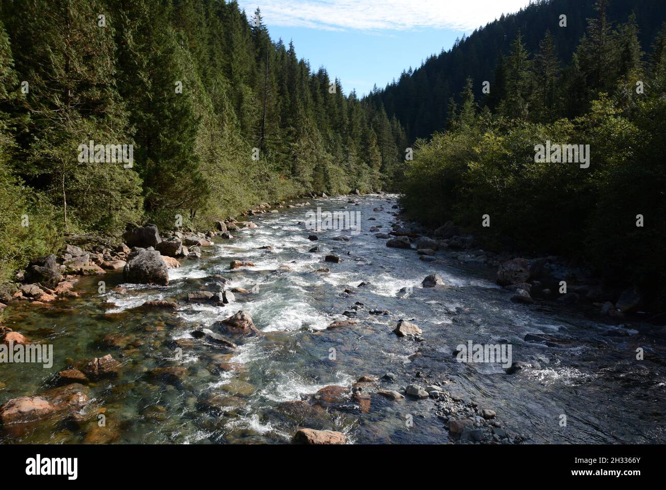 Der Gold Creek River, der gemäßigte Regenwald und die Coast Mountains des Golden Ears Provincial Park, in der Nähe von Maple Ridge, British Columbia, Kanada. Stockfoto