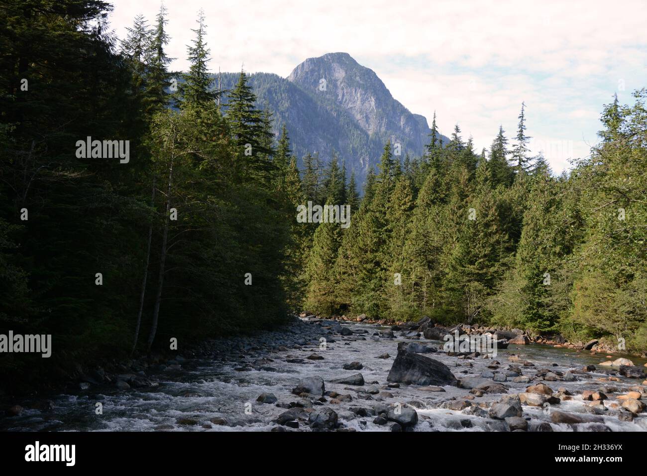 Der Gold Creek River, der gemäßigte Regenwald und die Coast Mountains des Golden Ears Provincial Park, in der Nähe von Maple Ridge, British Columbia, Kanada. Stockfoto