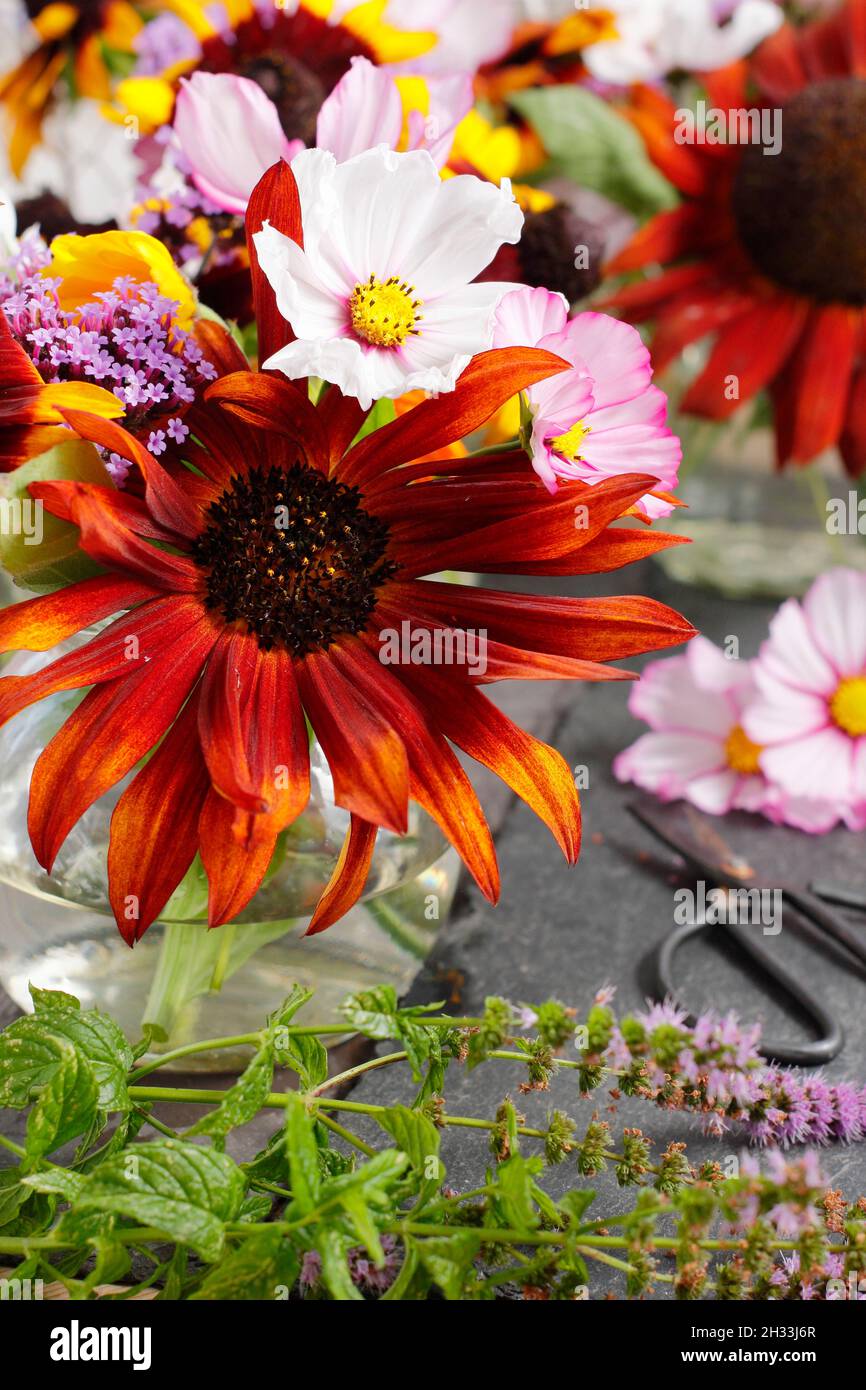 Schneiden Sie Blumen in der Vase. Informelle Anordnung von Gartenblumen in recycelten Marmeladengläsern - Sonnenblumen, Rudbeckien, Eisenkraut, Kosmos, Minze und Ringelblumen. UK Stockfoto