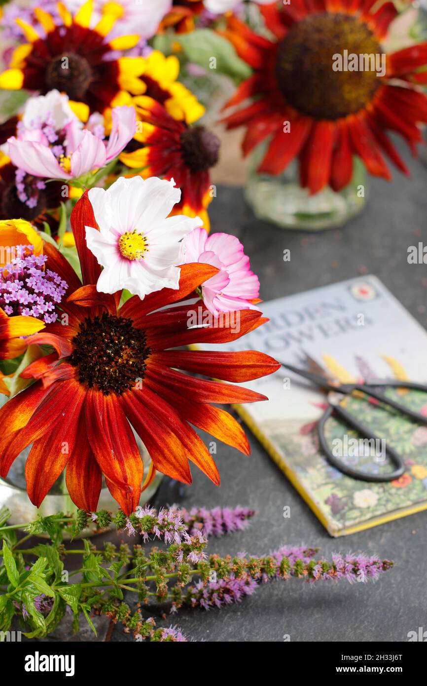 Blumen in Vase. Spätsommer Blumenarrangements. Frisch geschnittene Gartenblumen in recycelten Glasgläsern mit Vintage-Marienkäfer-Buch „Gartenblumen“. UK Stockfoto