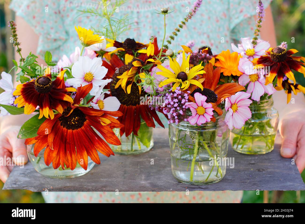 Frau mit frischen Blumen aus ihrem Schneidergarten - Sonnenblume, Rudbeckia, Eisenkraut, Kosmos, Minze und Topfmarigold in recycelten Gläsern ausgestellt. VEREINIGTES KÖNIGREICH Stockfoto