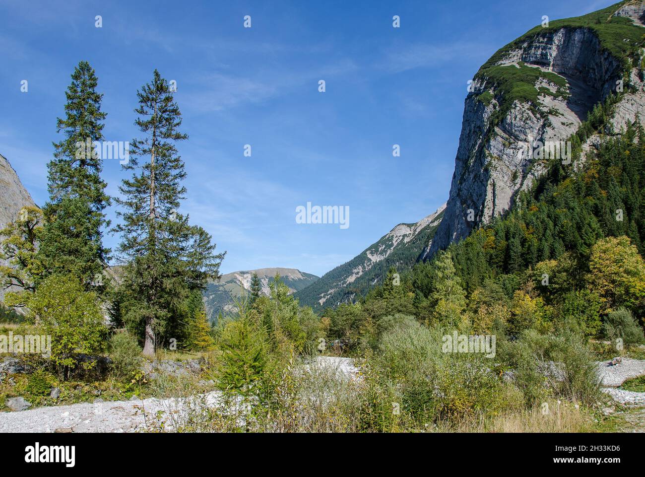 Das Hochplateau der Hinterriss und der eng ist ein besonderes landschaftliches Merkmal mit dem Ahornboden, dem größten Ahornbaumgebiet der Alpen Stockfoto