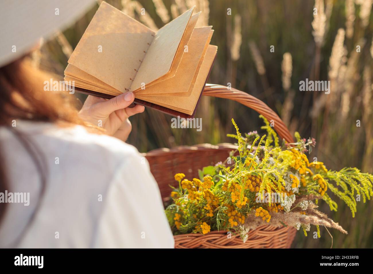 Natürliche Kräutermedizin in einer Tropfflasche - MOCKUP, leeres Buch. Copy-Space für Text. Stockfoto