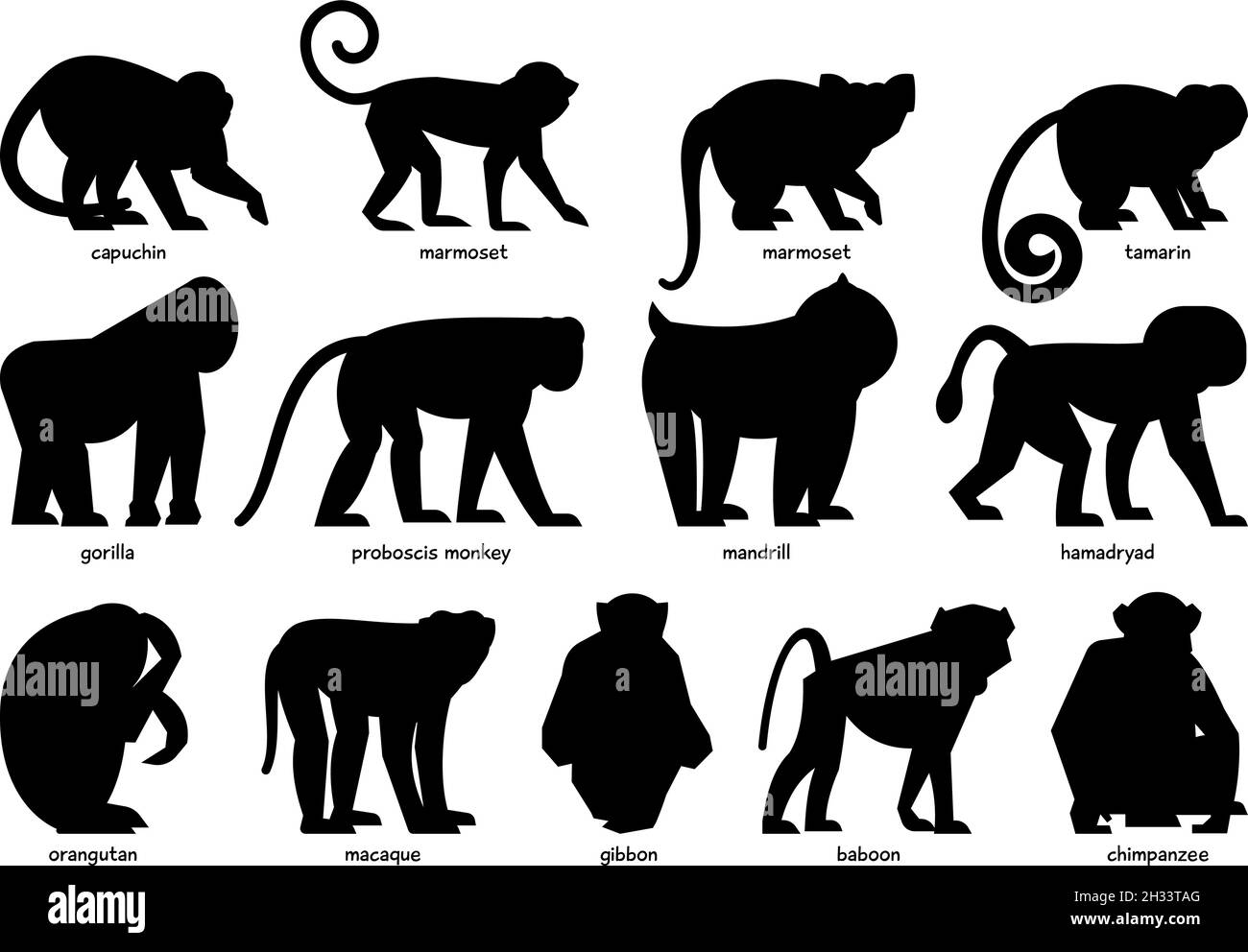 Große Sammlung von schwarzen Silhouetten von verschiedenen Affen Stock Vektor
