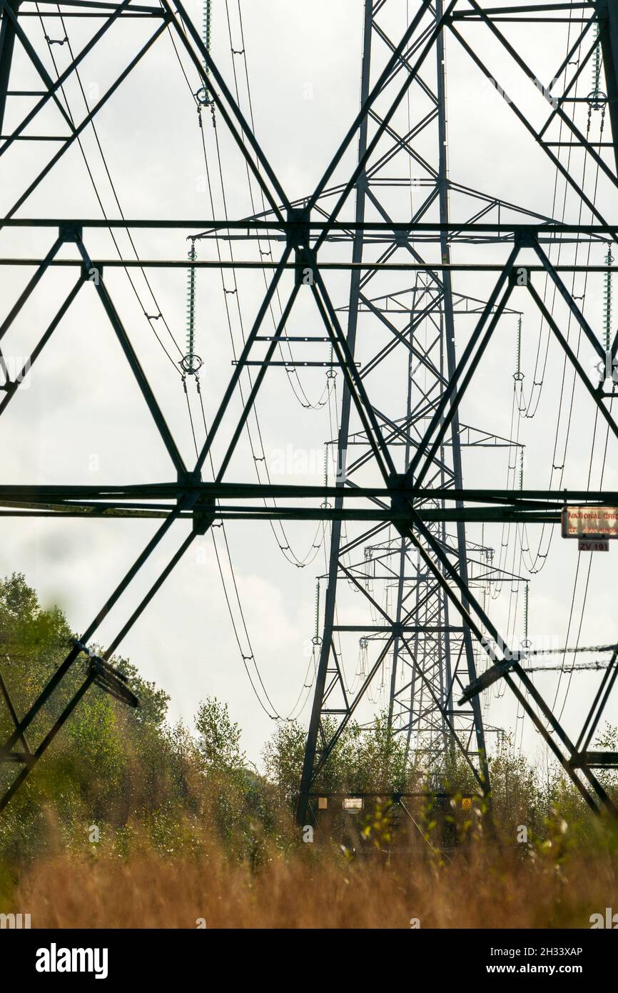 Pylons des united Kingdom National Grid mit Übertragungskabeln über Kopf und Stromleitungen, die durch einen Waldbrandbruch verlaufen. Komprimierte Perspektive. Stockfoto