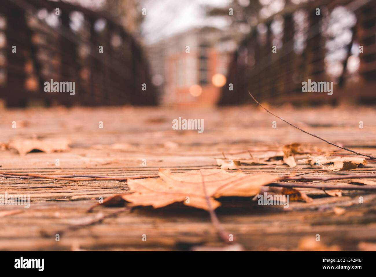 Unfokussierte Brücke mit gefallener orangefarbener Blattfarbe in Downtown Durham, North Carolina Stockfoto