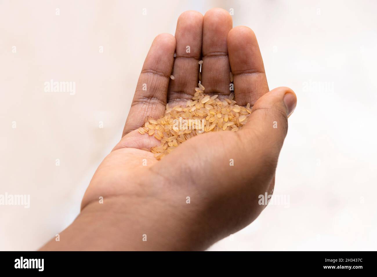 Nahaufnahme Bild Der Dame, Die Kerala Matta Reis In Der Hand Hält. Selektiver Fokus Stockfoto