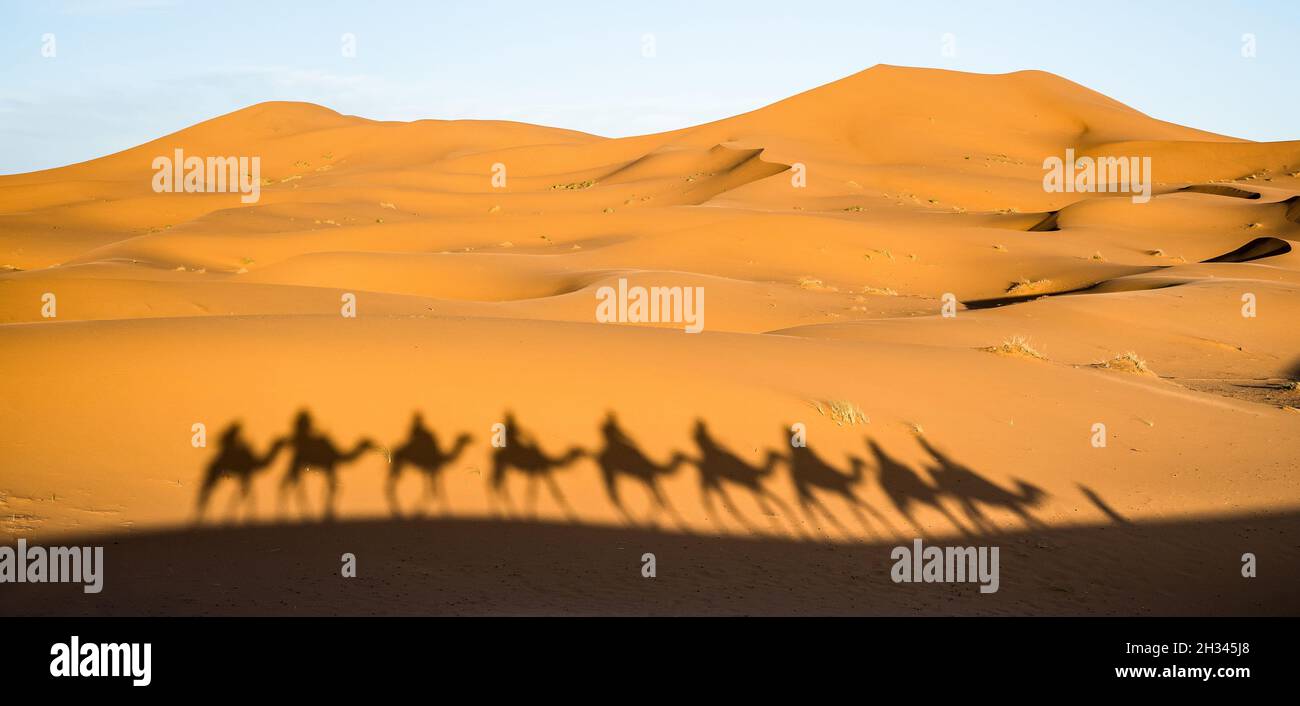 Schatten von Touristen Karawanenreiten Dromedaren durch Sanddünen in der Sahara bei Merzuga in Marokko - Wanderlust Reisekonzept Stockfoto