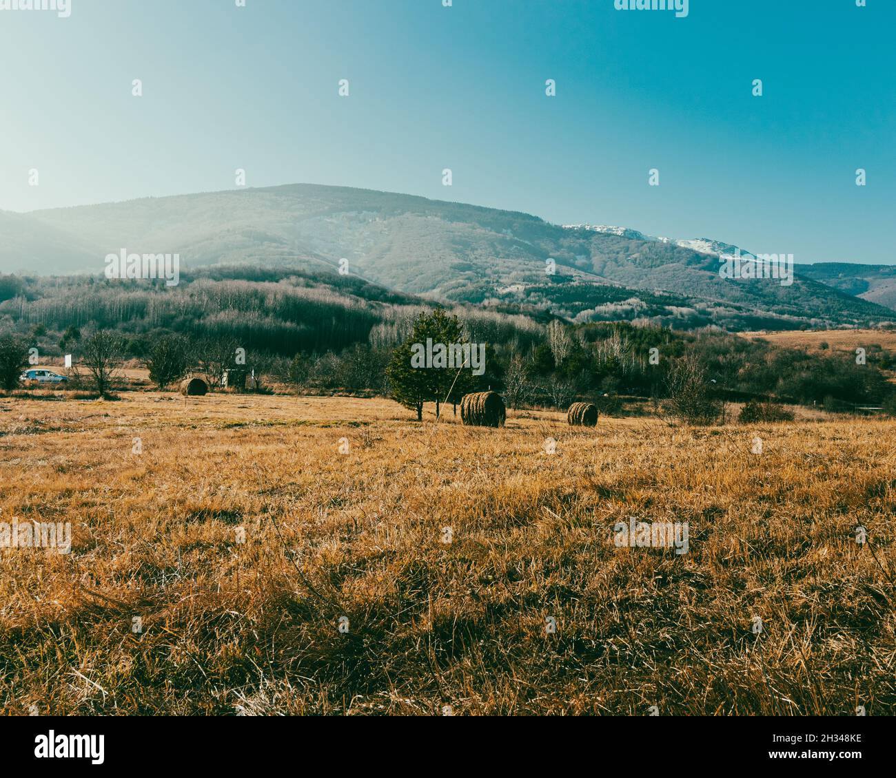 Vitosha-Berg Stockfoto