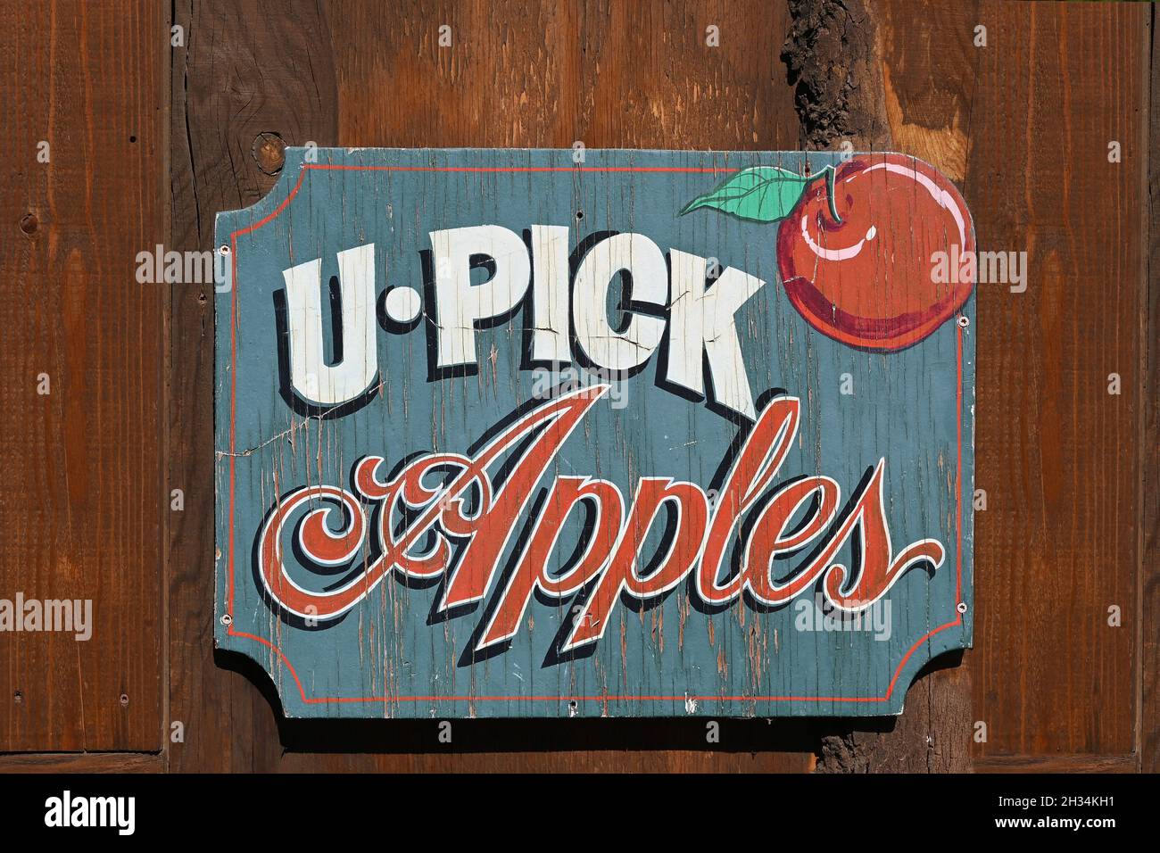 OAK Glen, CALIFORNIA - 21 Okt 2021: Nahaufnahme eines U-Pick-Äpfels-Schildes auf einem Schuppen im Oak Glen Preserve. Stockfoto