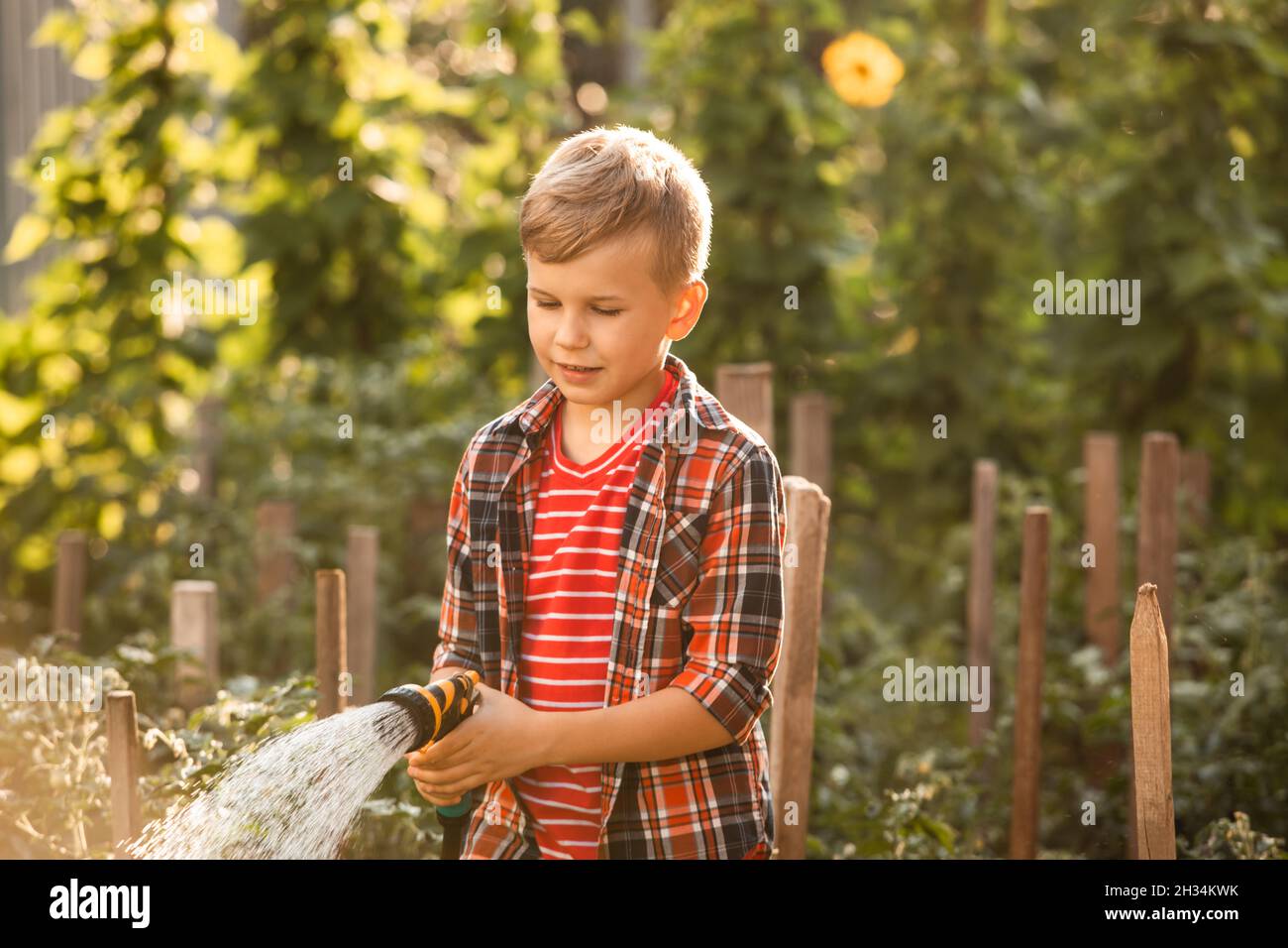 Der Junge bewässert das Gartenbett mit einem Schlauch Stockfoto