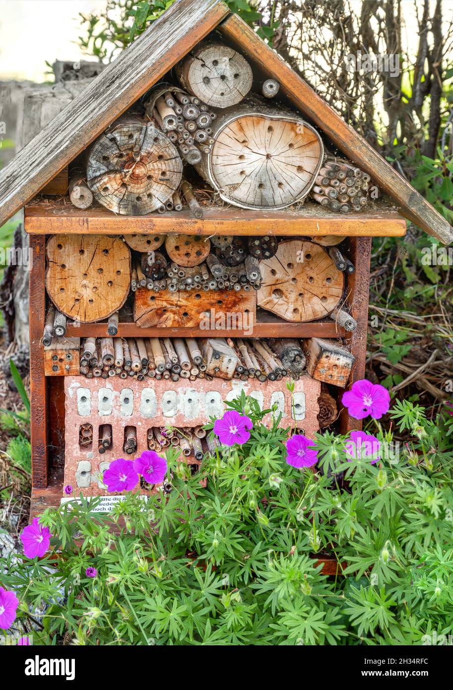 Blumen vor einem Insektenhaus in einem Garten Stockfoto