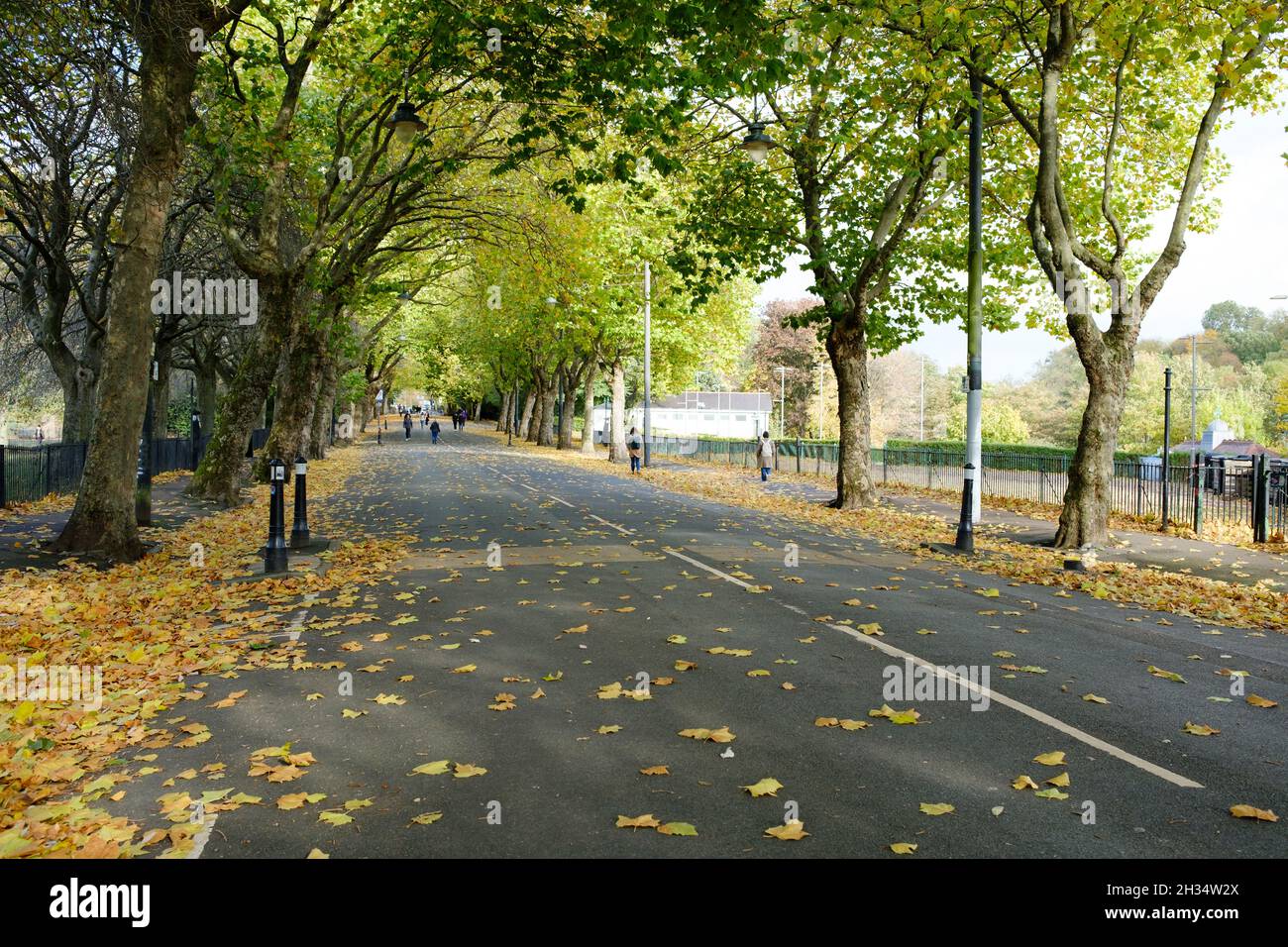 Kelvin Way, am Kelvingrove Park. Herbstlaub. Glasgow, Schottland. Oktober 2021 Stockfoto