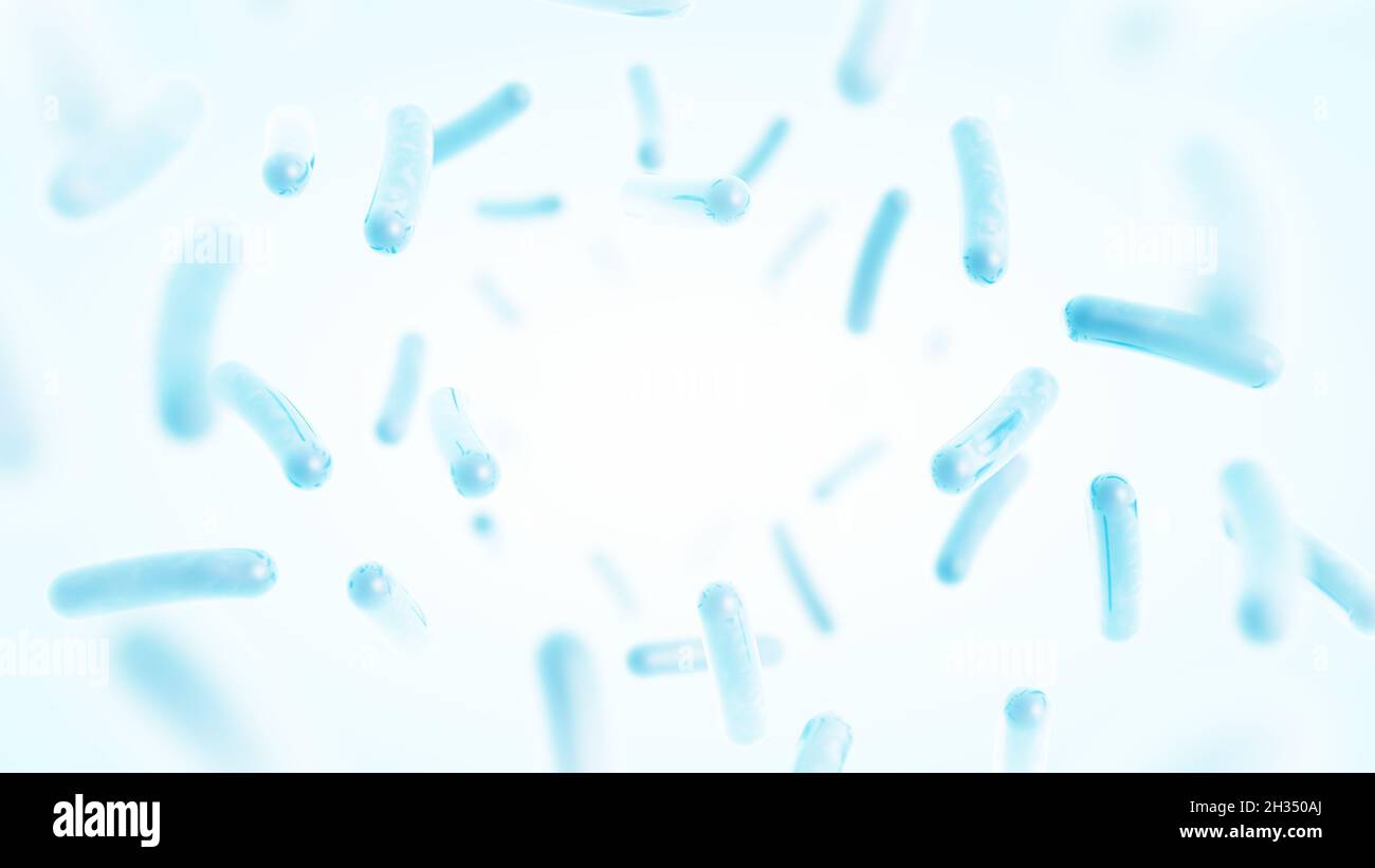 Probiotika. Wiederherstellung der Darmflora. Blaue Farbe. Lactobacillus. 3d-Darstellung. Stockfoto