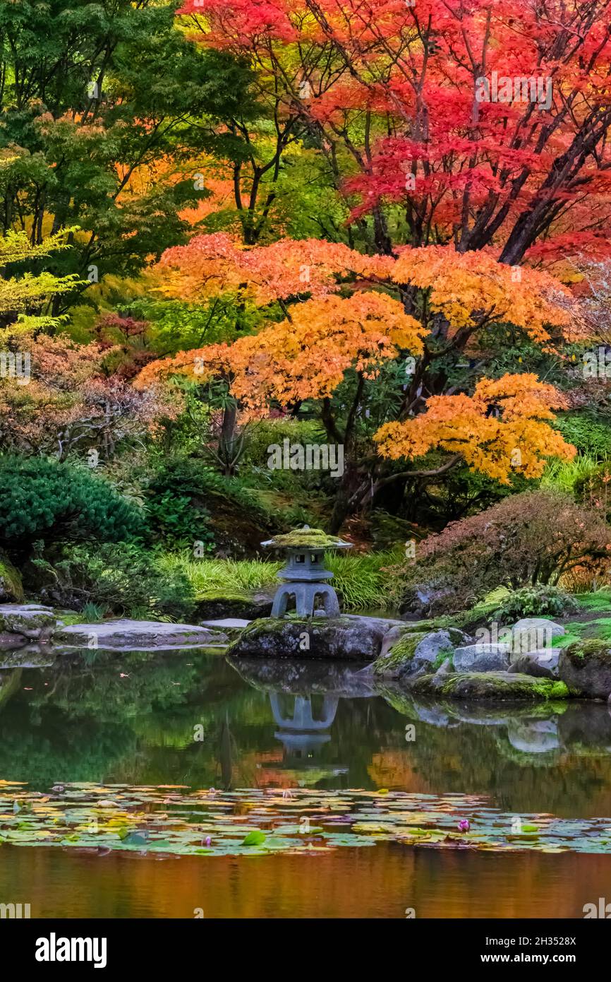 Schöner Teich in Seattle Japanese Garden, Seattle, Washington State, USA Stockfoto