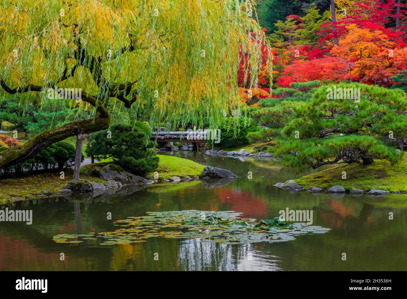 Schöner Teich in Seattle Japanese Garden, Seattle, Washington State, USA Stockfoto