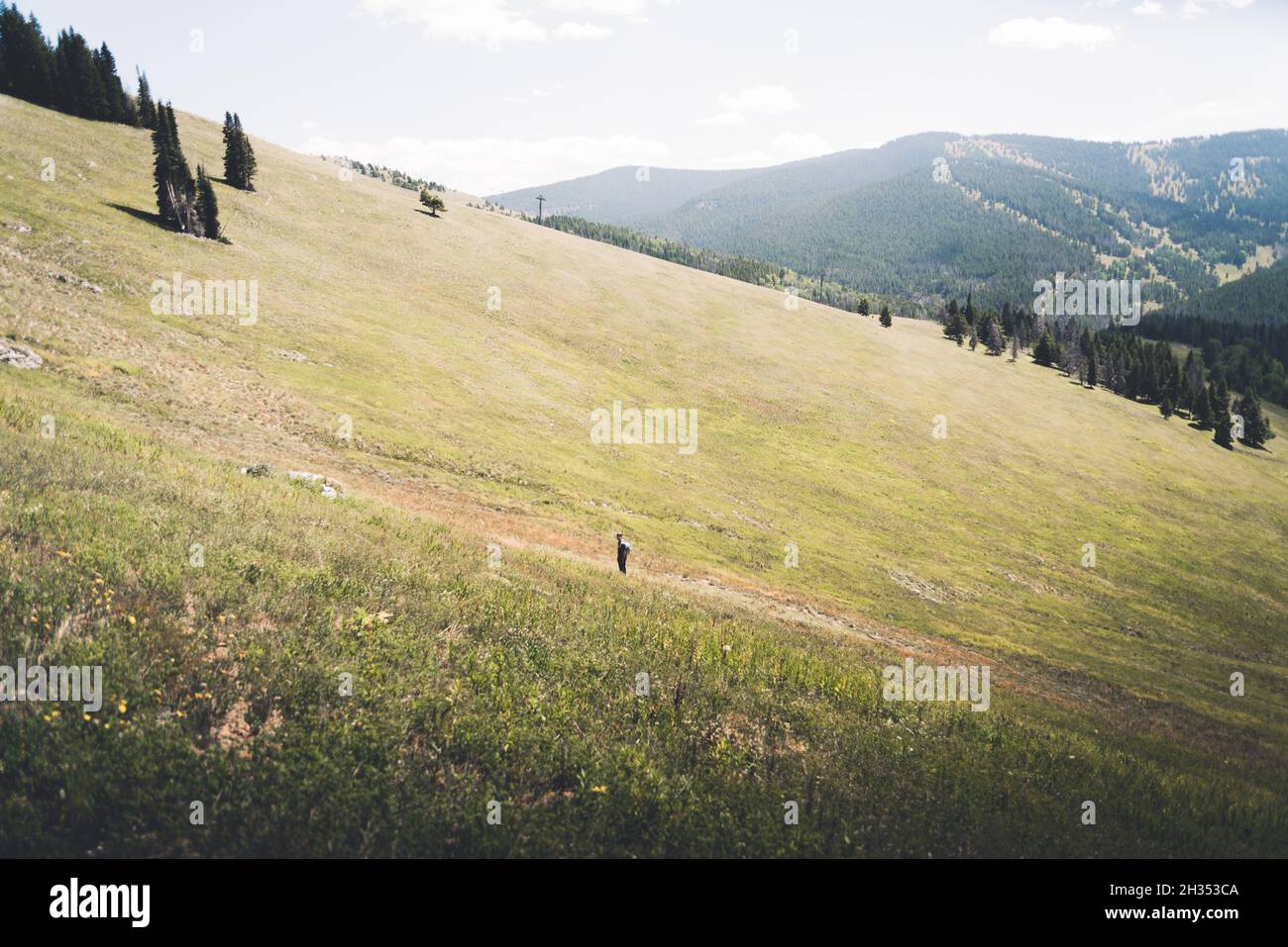 Sommer Landschaftsansicht auf Vail Mountain in Colorado. Stockfoto