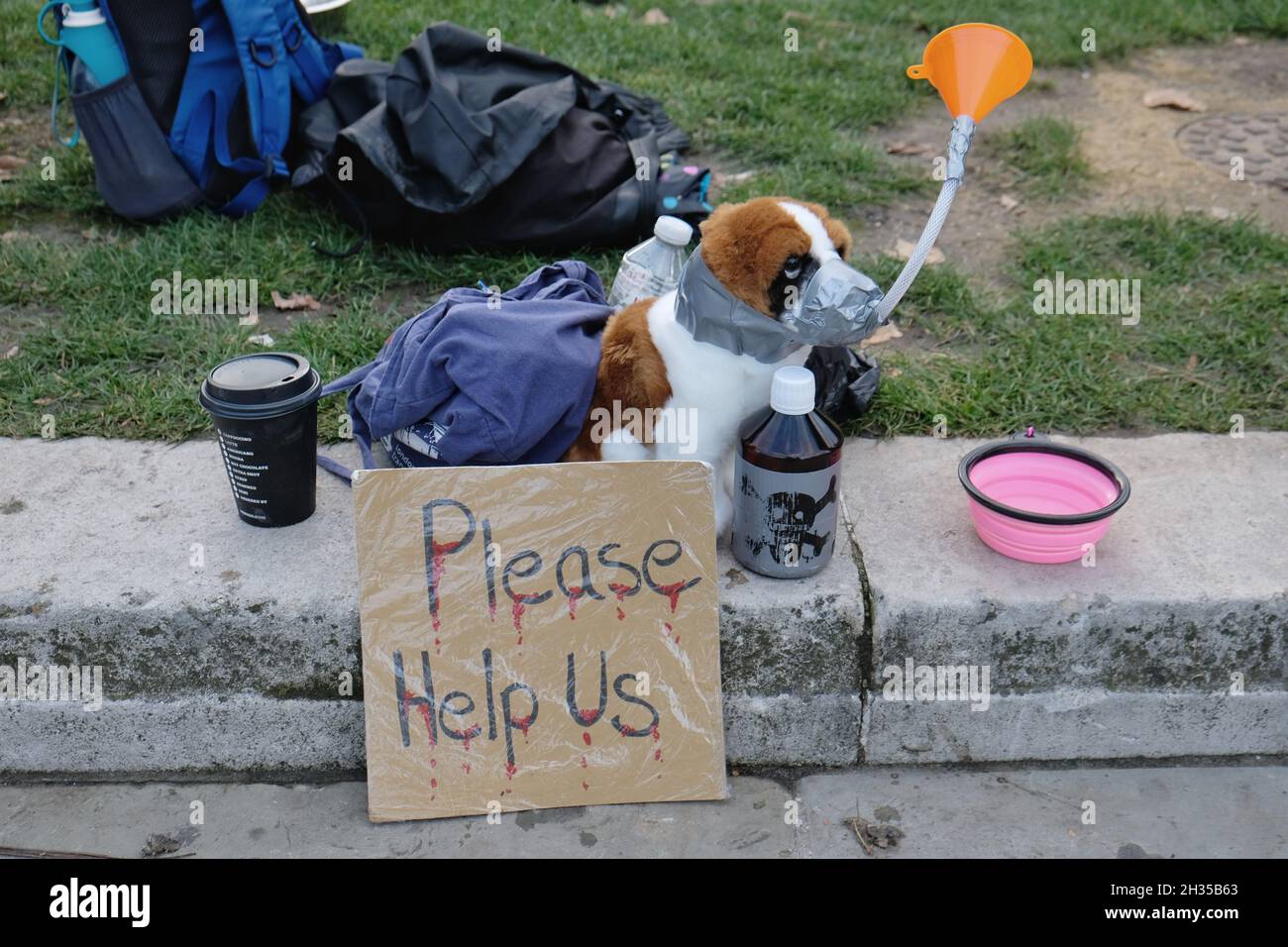 London, Großbritannien. Die Protestierenden der „Free the MBR Beagles“ rufen dazu auf, den Einsatz von jungen Hunden in grausamen toxikologischen Experimenten zu beenden Stockfoto