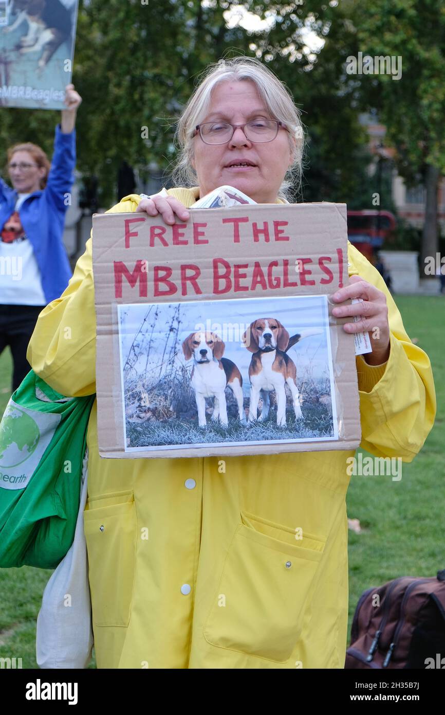 London, Großbritannien. Die Protestierenden der „Free the MBR Beagles“ rufen dazu auf, den Einsatz von jungen Hunden in grausamen toxikologischen Experimenten zu beenden Stockfoto