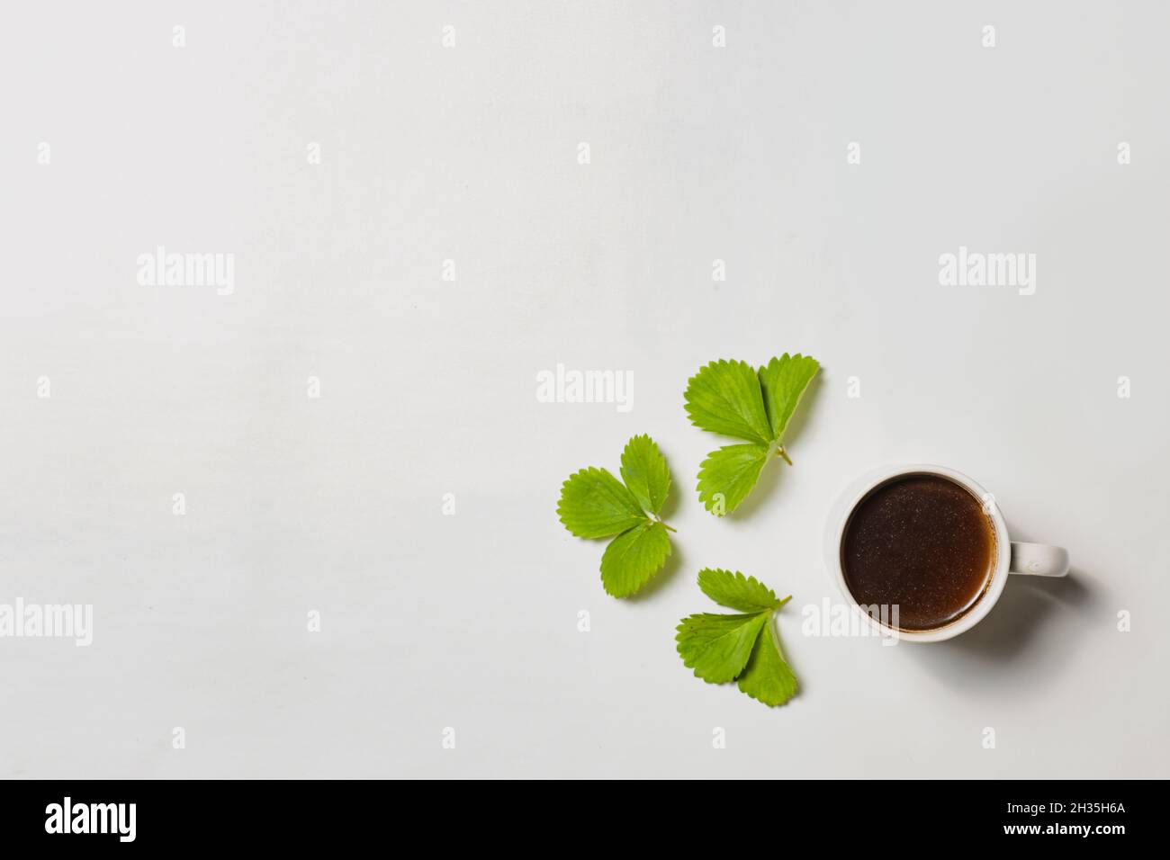 Kaffee und grüne Blätter Stockfoto