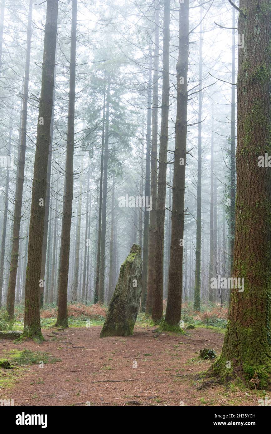 Menhir De Letoile Aus Stehendem Stein Stockfotos und bilder Kaufen Alamy