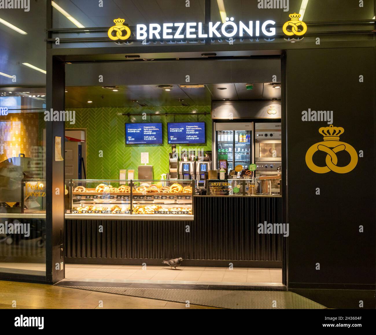 Eintaube in Brezelkönig Brezel- und Bäckerei, Bahnhof Genf-Cornavin, Genf, Schweiz Stockfoto