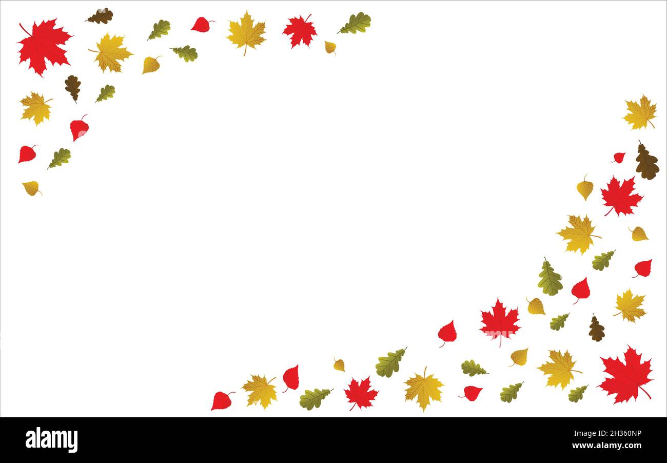 Vektor Hintergrund mit Ahorn, Eiche und Birke fallen Herbstblätter. Rot und gelb. Stock Vektor