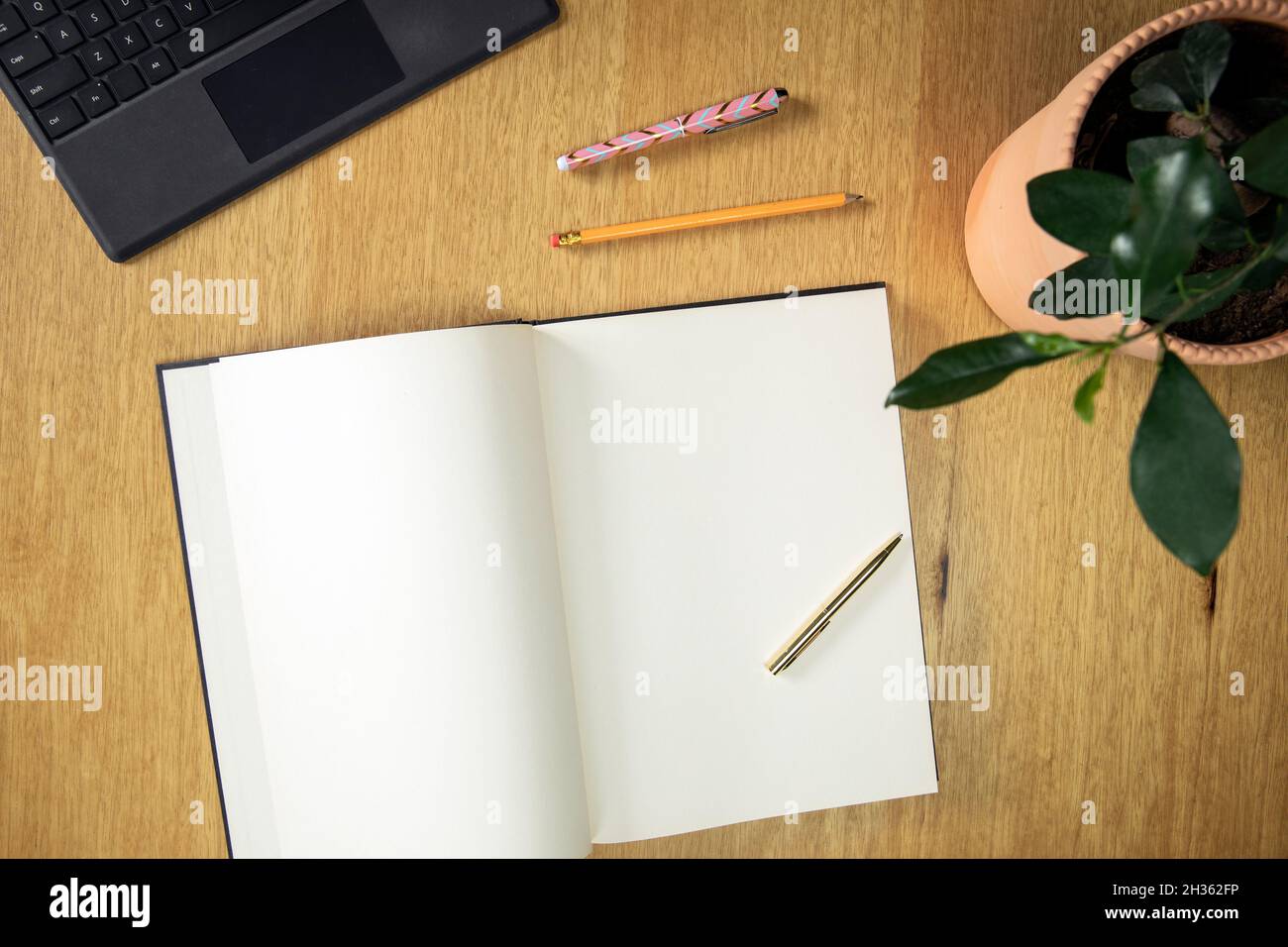 Büroschreibtisch mit Computer, Zubehör, grüne stilvolle Anlage und leeres Notizbuch Draufsicht mit Kopierplatz Stockfoto