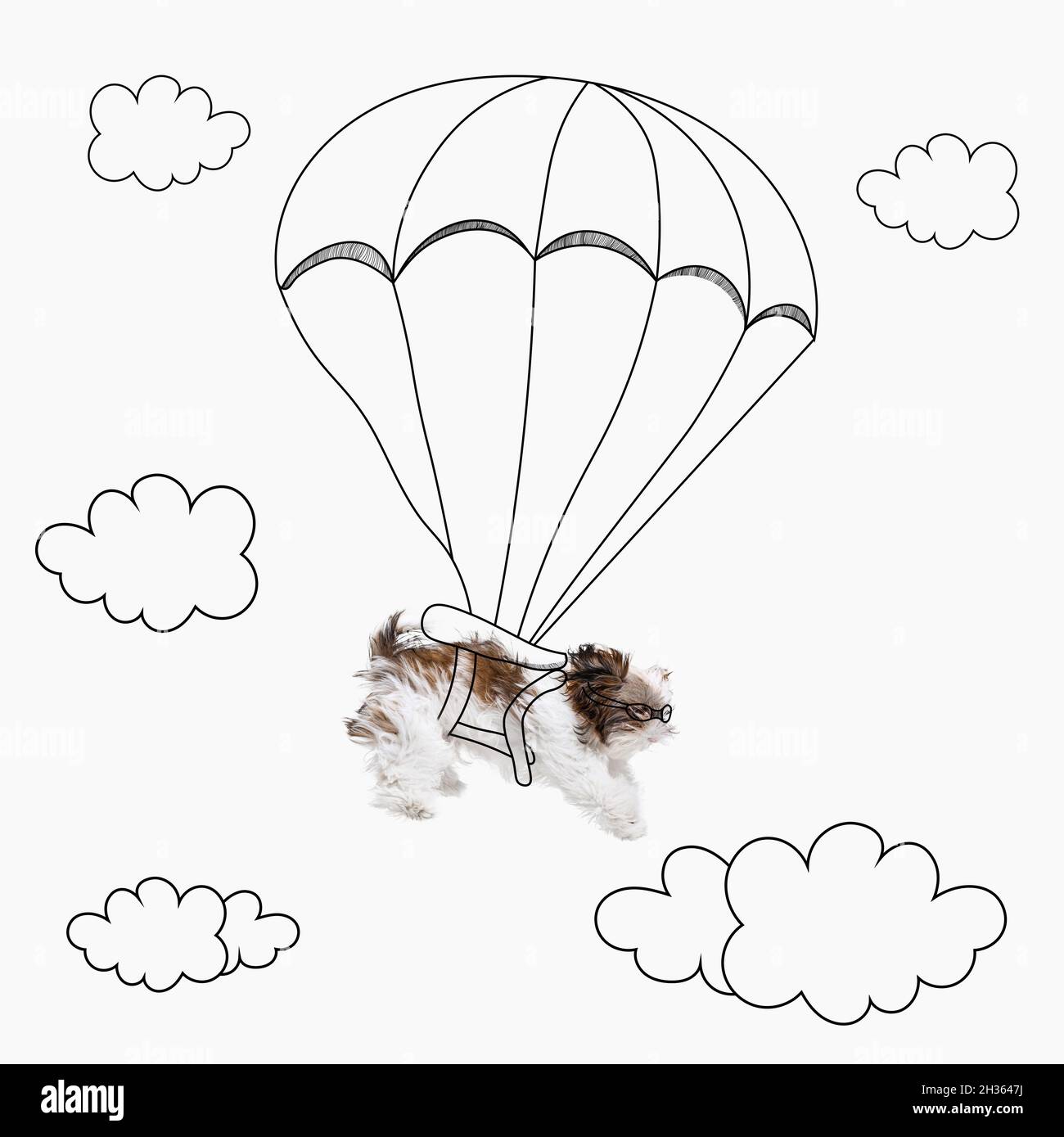 Zeitgenössische Kunstwerke. Ein netter lustiger Hund Fallschirme isoliert auf weißem Studio Hintergrund mit Zeichnungen. Stockfoto