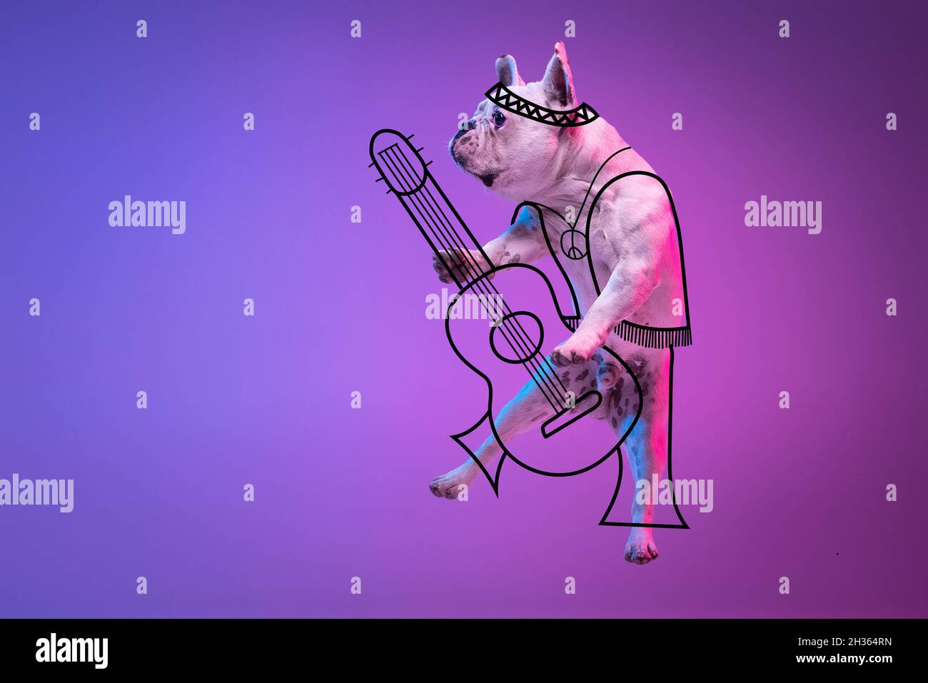 Bildmaterial. Ein süßer kleiner Hund, Bulldogge spielt Gitarre isoliert auf gradienten neonrosa blauen Studio-Hintergrund mit Zeichnungen. Stockfoto