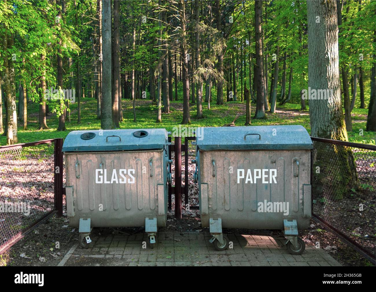 Abfallbehälter für Glas und Papier im Freien im Park. Ökologiebezogenes Naturschutzkonzept Stockfoto