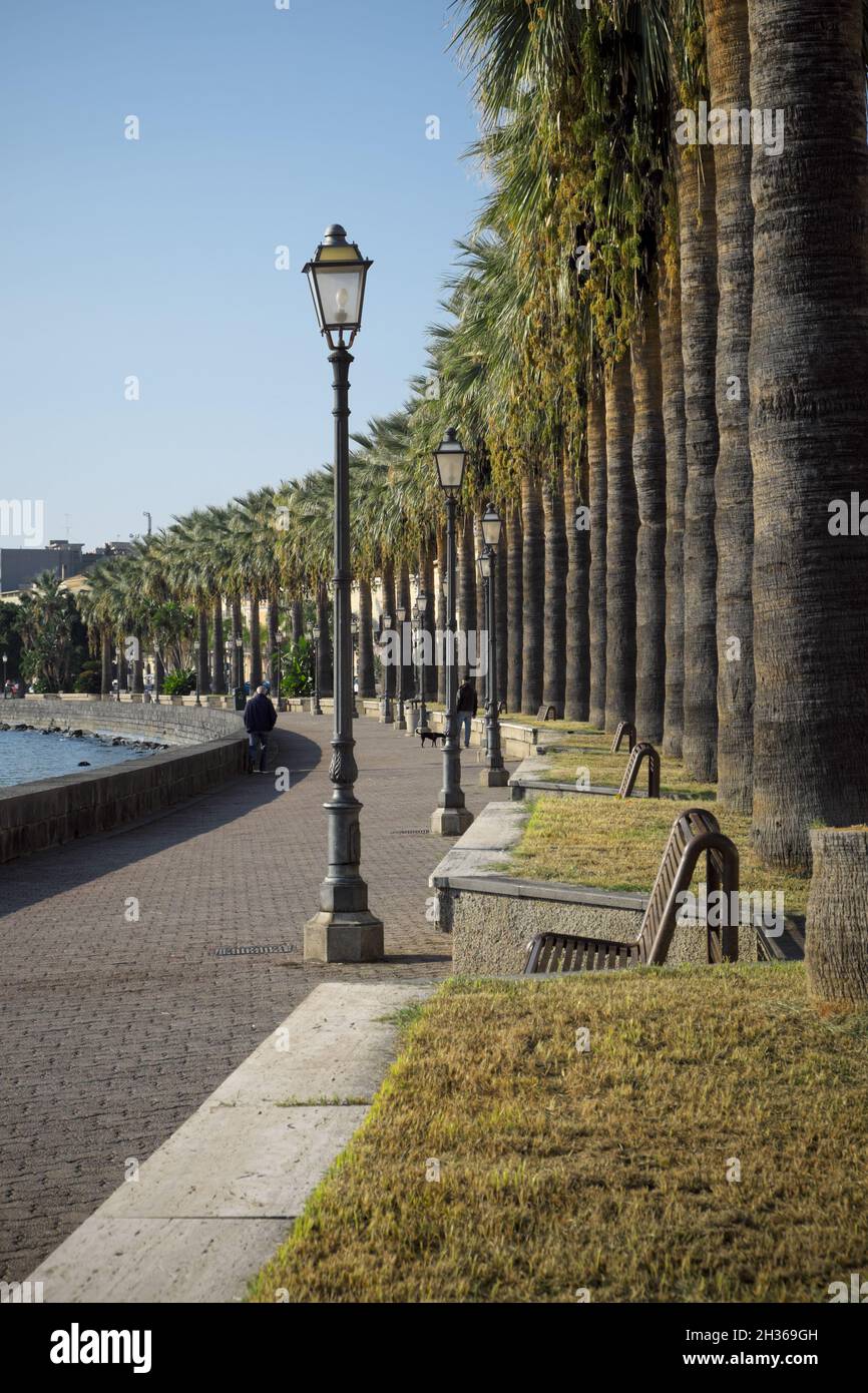 Von Bäumen gesäumte Straße am Ufer Siziliens mit Palmen der Stadt Milazzo Stockfoto