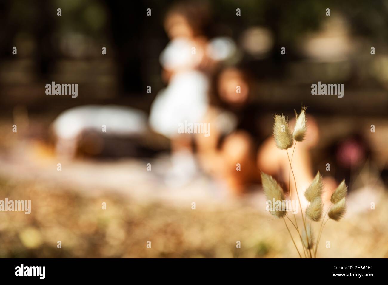 Herbstliche Anspielung mit trockenem Blatt und Kindern im unscharfen Hintergrund. Stockfoto