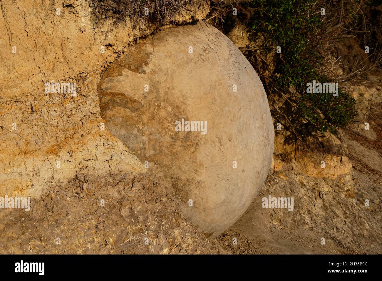 Die runden Felsbrocken von Moeraki entstehen durch den geologischen Prozess, der Calcitbetonung genannt wird Stockfoto