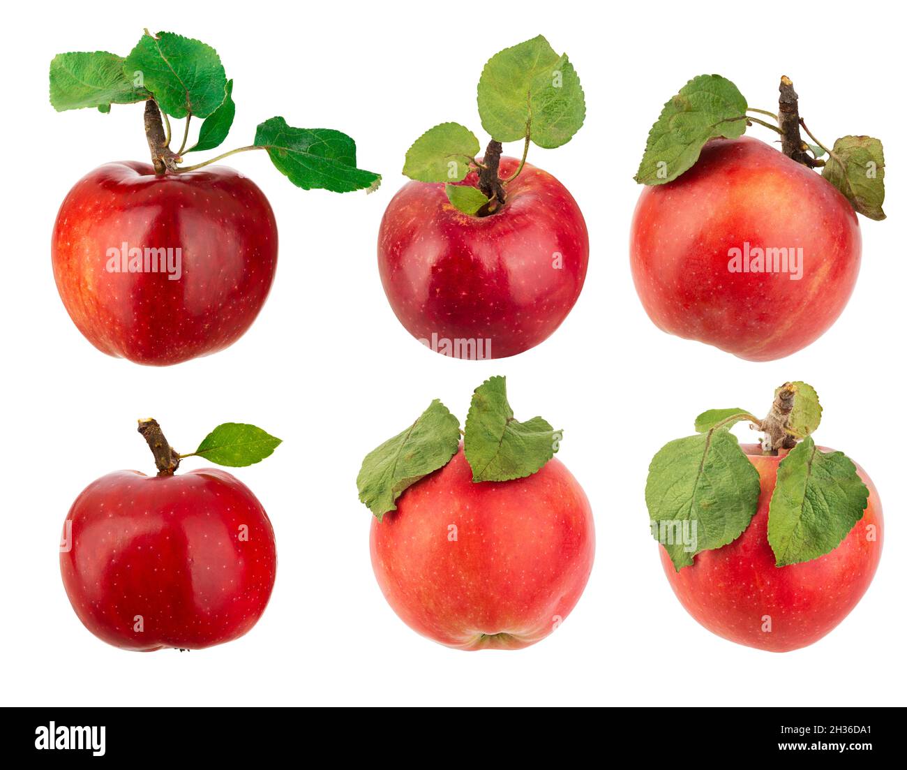 Set frisch gepflückter roter Äpfel mit Blättern Stockfoto