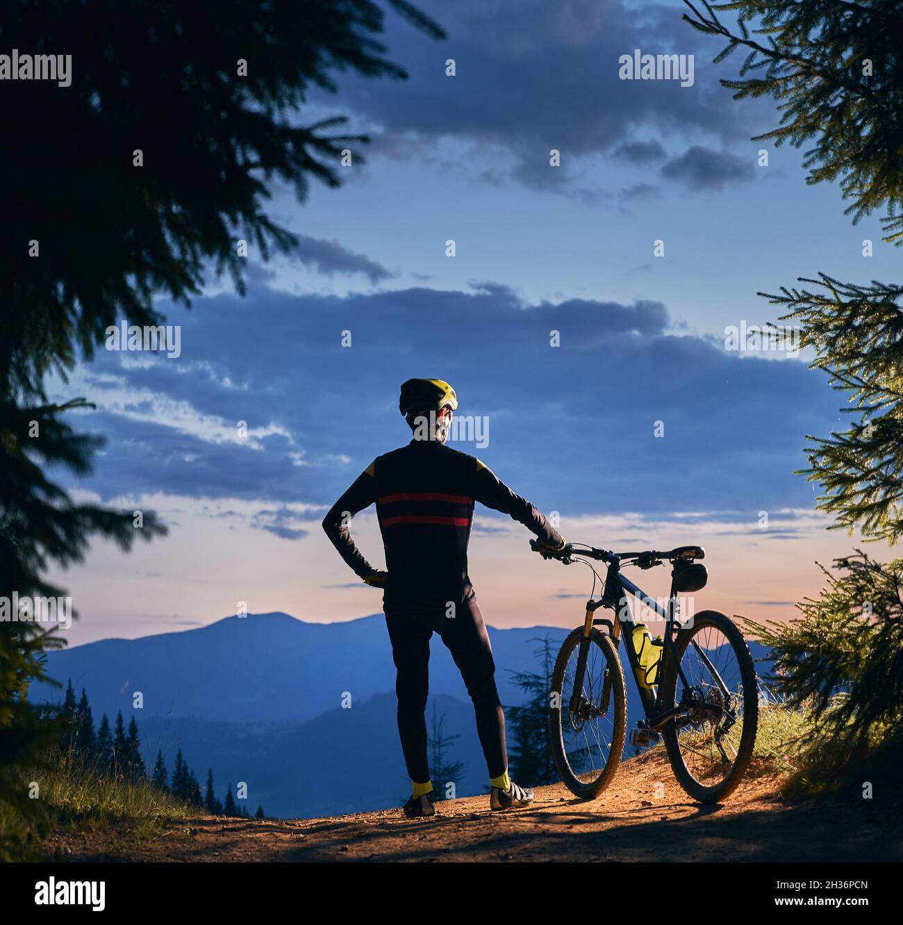 Rückansicht eines Radfahrers, der sein Fahrrad hält, und die wunderschöne Landschaft, die Berggipfel und den Sonnenuntergang, umgeben von Fichten, beobachtet. Quadratisches Bild. Aktives Lifestyle-Konzept Stockfoto