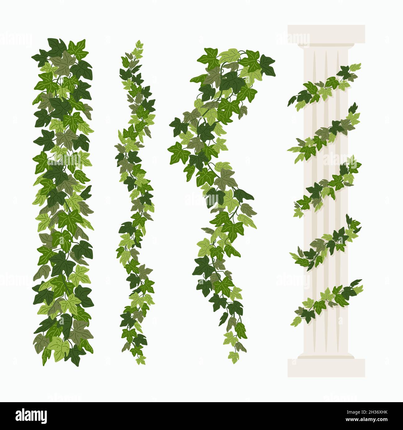 Efeu-Reben und eine griechische antike Sule, die mit Efeu verschlungen  ist, isolierte Elemente auf weiem Hintergrund. Vektor-Illustration im  flachen Cartoon-Stil Stock-Vektorgrafik - Alamy
