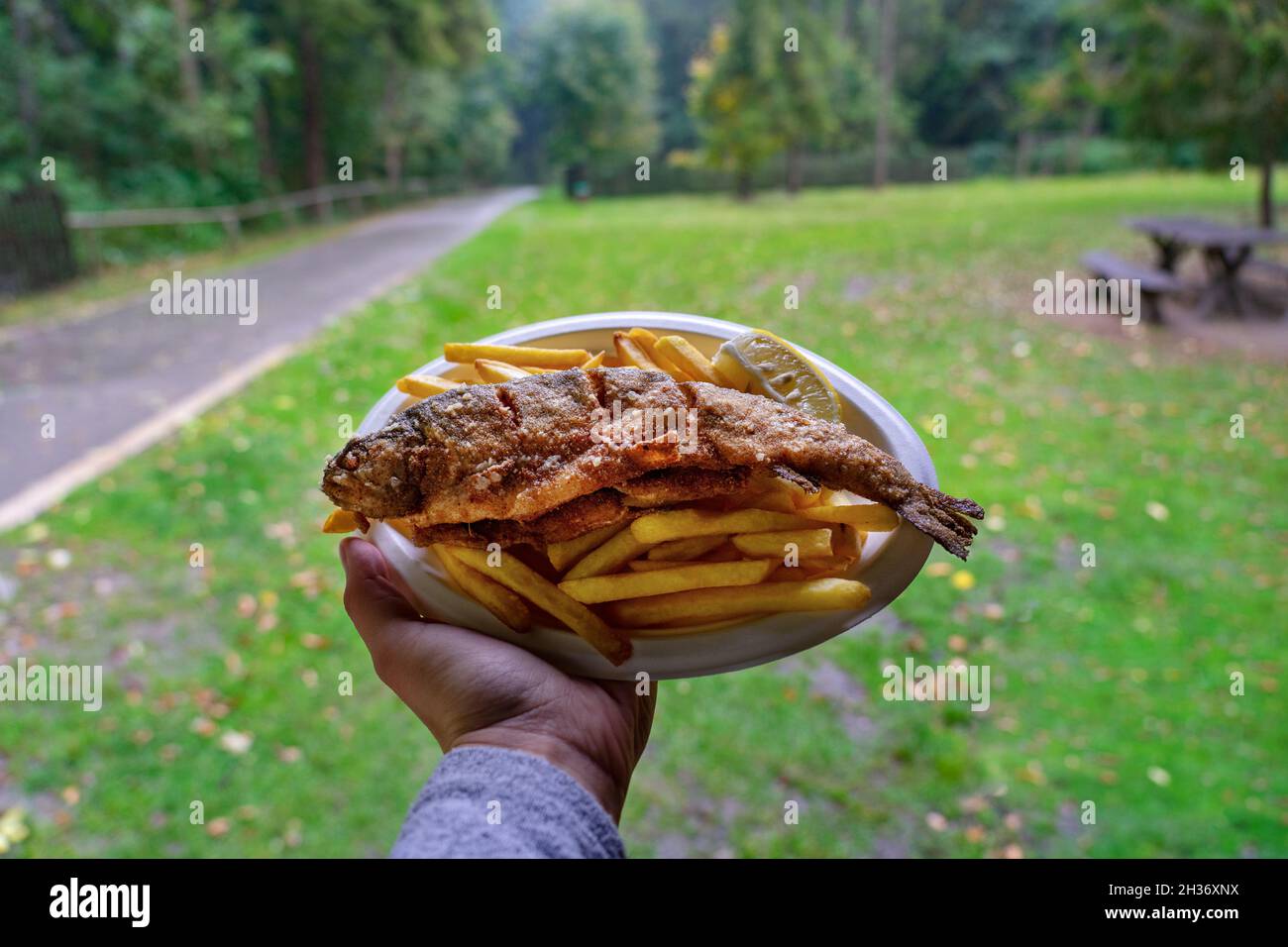 Frittierte Forelle Pisztrang Fisch traditionelle Lebensmittel in Szalajka Tal Ungarn Stockfoto